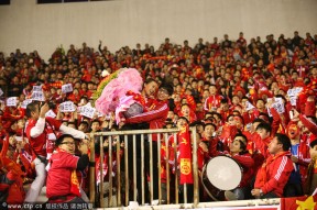 九游娱乐-葡萄牙体育训练开放日，集结日刷新队史纪录引欢呼，欧篮联在即，球探报告显示潜力的简单介绍